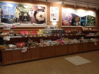 IMGP0752