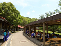 IMGP0940