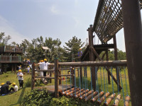 IMG_20260611_103055