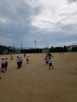 IMG_20250516_085135